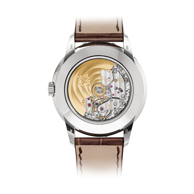 Patek Philippe Grand Complications 5320G-011