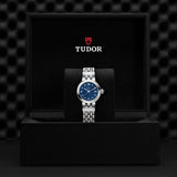 Tudor Clair de Rose Steel