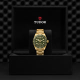 Tudor Black Bay 58 18K