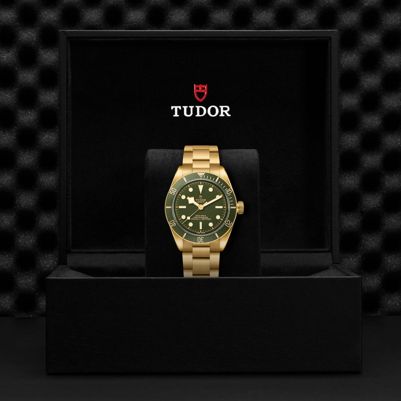 Tudor Black Bay 58 18K