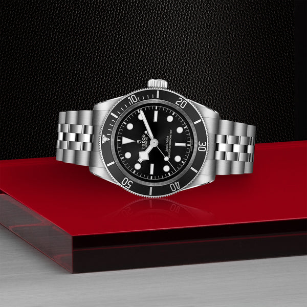 Tudor Black Bay Steel