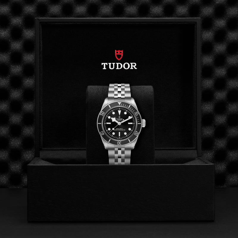 Tudor Black Bay Steel