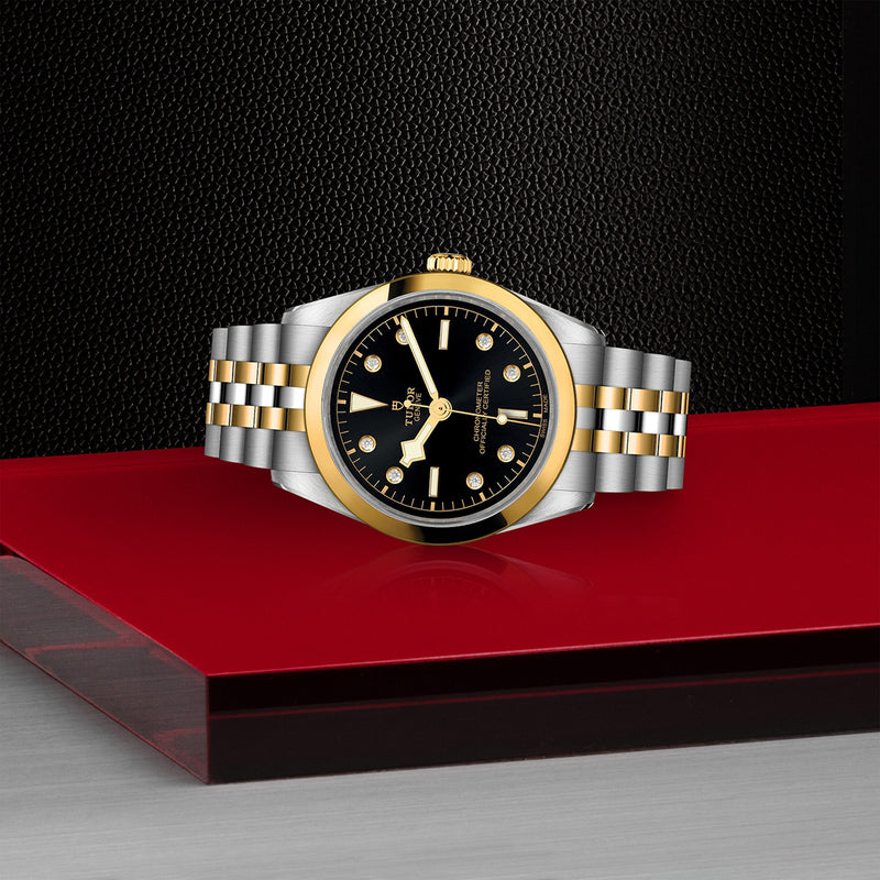 Tudor Black Bay 36 S&G Steel and Yellow Gold