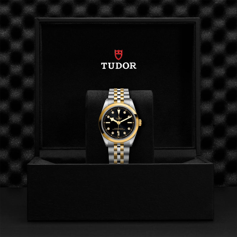 Tudor Black Bay 36 S&G Steel and Yellow Gold