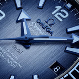 Omega Seamaster Planet Ocean 600M Steel