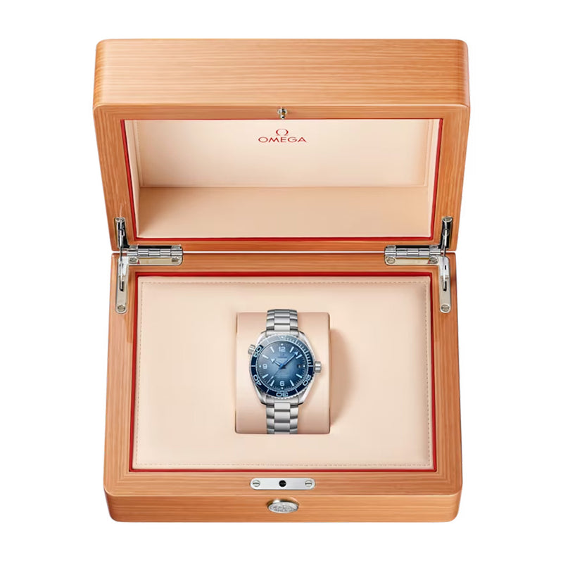 Omega Seamaster Planet Ocean 600M Steel