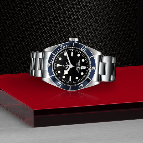 Tudor Black Bay 41 Steel