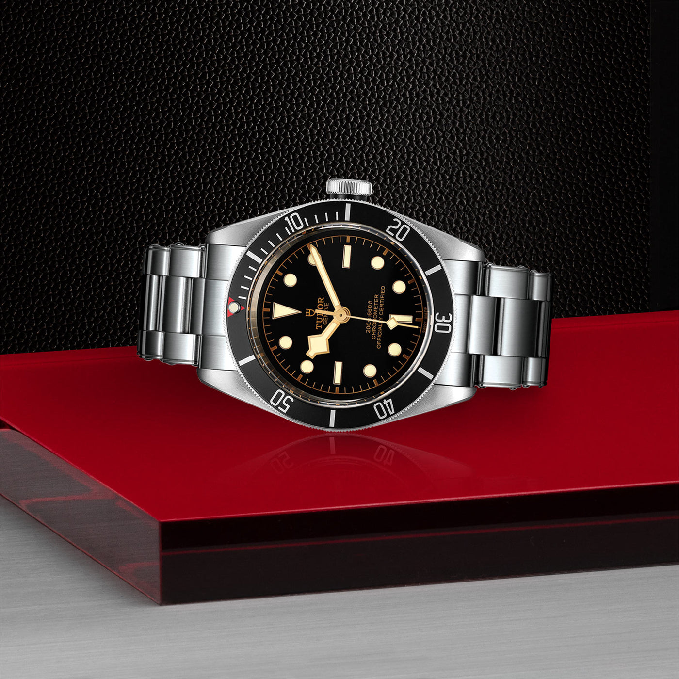 Tudor Black Bay Steel Mallory