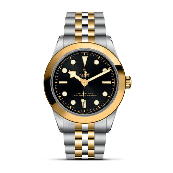 Tudor Black Bay 39 S&G